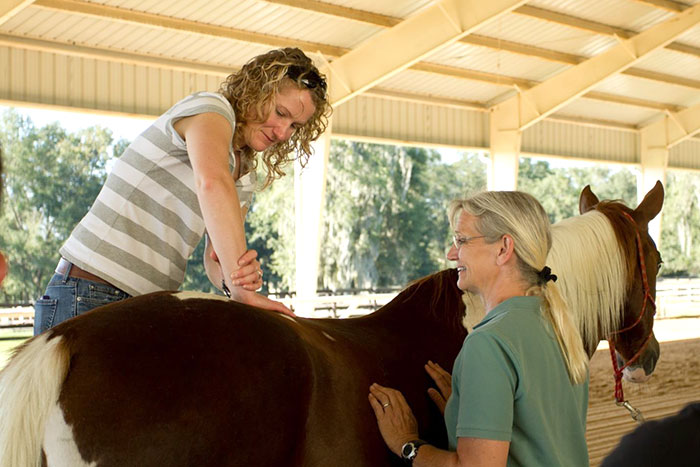 chiropractice-care